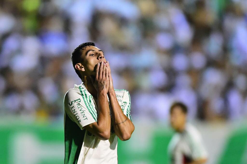 palmeiras copinha 2