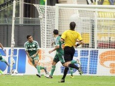 dudu palmeiras